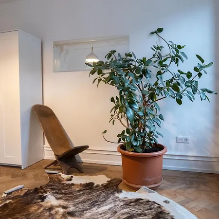 Appartement Rue Des Veaux - Quartier Cathédrale
