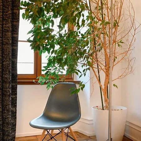 Appartement Rue Des Veaux - Quartier Cathédrale Strasbourg